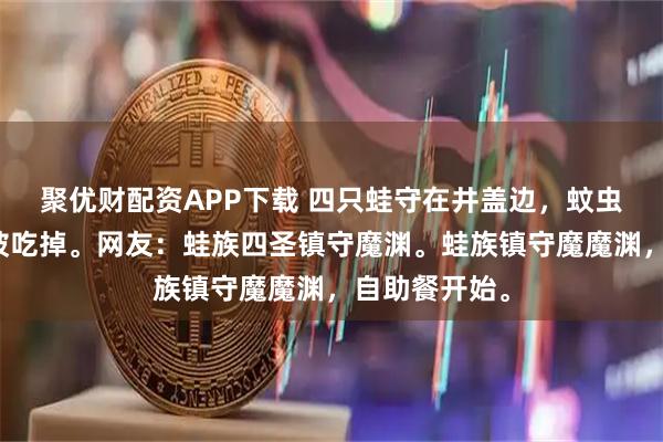 聚优财配资APP下载 四只蛙守在井盖边，蚊虫一飞出来就被吃掉。网友：蛙族四圣镇守魔渊。蛙族镇守魔魔渊，自助餐开始。