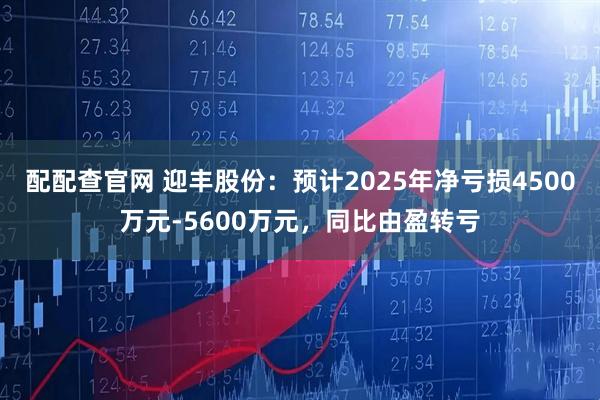 配配查官网 迎丰股份：预计2025年净亏损4500万元-5600万元，同比由盈转亏